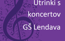 Utrinki s koncertov GŠ Lendava