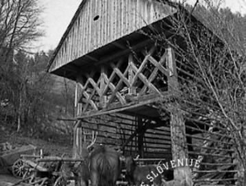 Kozolec je tipična arhitekturna posebnost slovenskega podeželja. Na sliki kozolec na Hotavljah, maj 1971. Foto: Edi Šelhaus, hrani arhiv Novejšega muzeja Slovenije.