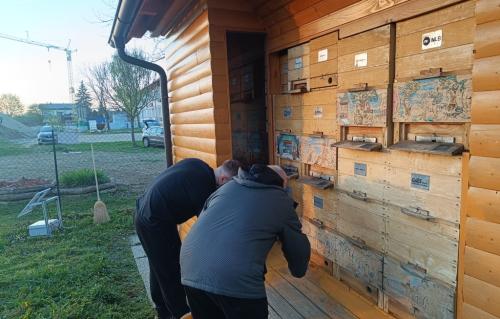 Barvanje učnega čebelnjaka in urejanje okolice marec 2025