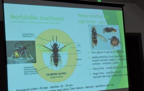 Izobraževanje NVI 2025