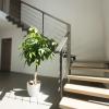 Moderne stopnice 12
