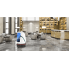 Robint Rockit Hotel Service Robot