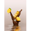 Hair Syrup Lemon-Aid