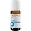 Ruck olje - čajevec - 10ml
