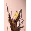 serum HRS Hair Syrup - Zen