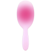 krtača FRR Detangle Brush - Aurascope