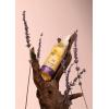 serum HRS Hair Syrup - Zen - V