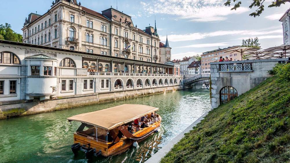 Piknik članov SLZ 2022