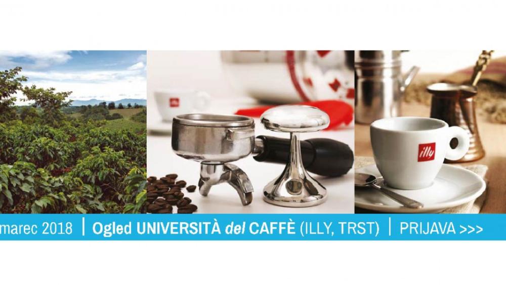 Ogled Università del Caffè (illy)