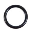Žarnica BIO UV-O-ring tesnilo 25x5mm