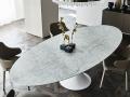 Jedilna miza in dtoli Cattelan Italia - REEF je prečudovita ovalna miza s centralno nogo - Cattelan Italia -4