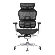 Pisarniški stol ERGOPRO NET AL8