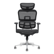 Pisarniški stol ERGOPRO NET AL4