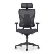 Pisarniški stol ERGOLITE NET