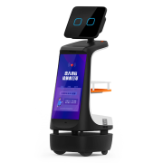 Robint Joy Robot Receptionist