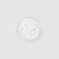 LATHER HEATCTRL SHAMPOO - 2