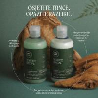 Paul Mitchell Tea Tree Special šampon i regenerator – osvježavajuća njega vlasišta