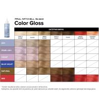 The Demi Color Gloss – tabela odtenkov in barvni rezultati