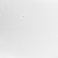 profesionalni šampon za obnovo las