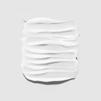 EXTRA BODY CONDITIONER - 2