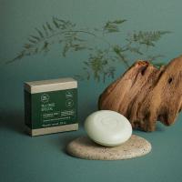 trdi šampon tea tree special paul mitchell