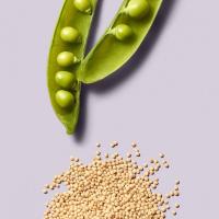 CLEAN BEAUTY REPAIR CONDITIONER  - 4