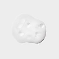 Paul Mitchell Pet Soothing Oatmeal No-Rinse Shampoo Foam – šampon brez izpiranja