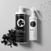 Paul Mitchell Professional Porosity Equalizer in Charcoal Clay Cleanse – popolna priprava las pred barvanjem