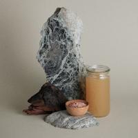 Tea Tree Special Detox Kombucha Rinse sestavine