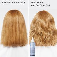 THE DEMI COLOR GLOSS - ASH - 2