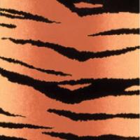 Color-Dekor 180°C, 10x20 cm, imitacija tigra, 2 foliji