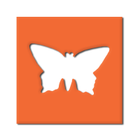 Štanca, ca. 25 mm, metulj