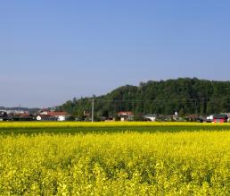 Očistimo Trzin 2026