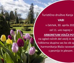 Ogled ročnih del vezilj in rezbarjev v Arboretumu Volčji Potok