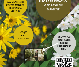 Interaktivna delavnica