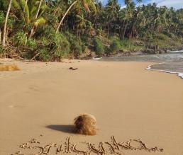 Družinsko potopisno predavanje: Šrilanka