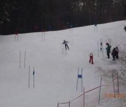 21. VELESLALOM OBČINE TRZIN