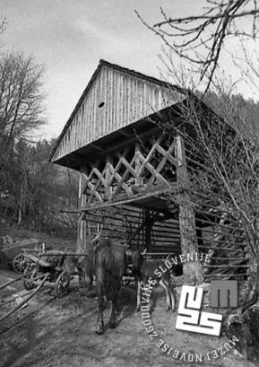 Kozolec je tipična arhitekturna posebnost slovenskega podeželja. Na sliki kozolec na Hotavljah, maj 1971. Foto: Edi Šelhaus, hrani arhiv Novejšega muzeja Slovenije.