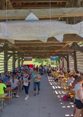 Ribiški piknik na zadnjo nedeljo v avgustu je bil dobro obiskan. Foto: Jure Ferlan