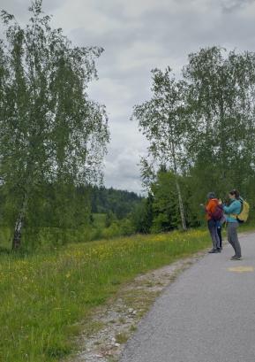 Pohodnike pot vodi mimo številnih ostalin iz časa gradnje Rupnikove linije, med njimi so tudi manjši železobetonski bunkerji. FOTO: JURE FERLAN