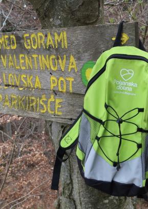 Začenja se nova sezona pohodov Od cvetja do jeseni. FOTO: HERMINA JELOVČAN