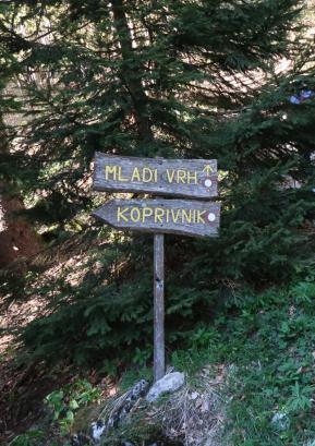 V Turističnem društvu Stari vrh vabijo na Pomladni pohod. FOTO: HERMINA JELOVČAN