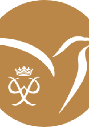 Zlato priznanje MEPI