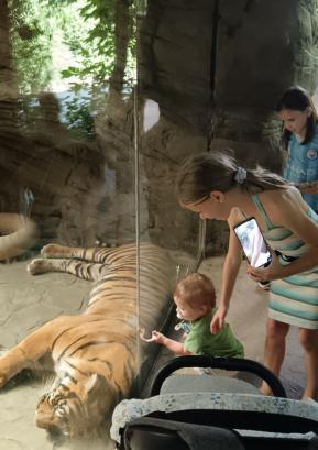 Družina Radič ob obisku živalskega vrta v Brnu FOTO: ARHIV DRUŽINE