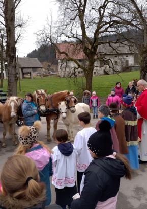 Na blagoslovu konj v Predmostu pri Poljanah se je zbralo veliko gledalcev. FOTO: JURE FERLAN