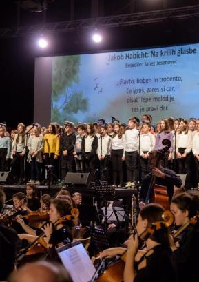 Med slovesnim koncertom, na katerem so nastopili učenci in učitelji. Foto: Jana Jocif