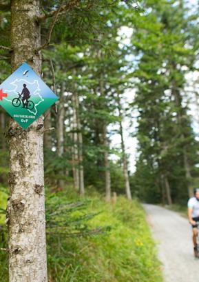 Odprtje sezone kolesarskega kroga