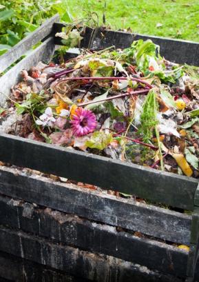 FOTO: www.dominvrt.si