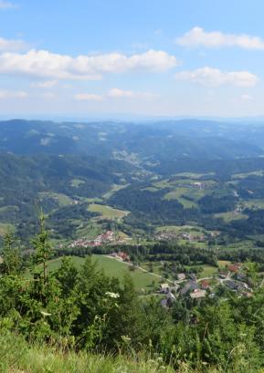 Pogled na Poljansko dolino z vrha Starega vrha