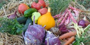 Traditional markets of agricultural crops and products in the Loka area